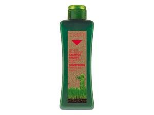 SHAMPOO SALERM*300ML BIOKERA ESPECIFICOCAIDA