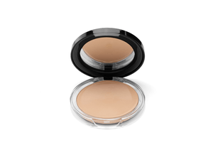 BASE PANSTIK SP PRO*20G #101