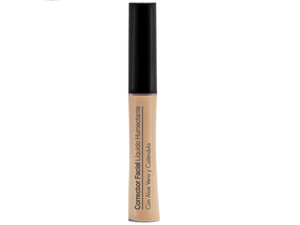CORRECTOR LIQUIDO KALOE*6G MEDIO HUMETANTE