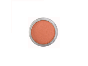 RUBOR RAQUEL*4.5G FANTASIA #15 SALMON