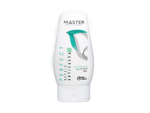 SHAMPOO MASTER *240ML ANTICASPA PERFECTREPAIR